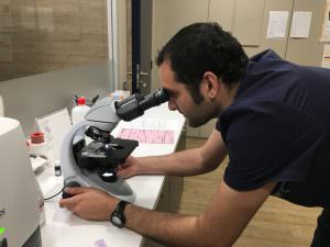 pododermatitis-en-canarios-veterinarios-24h-barcelona