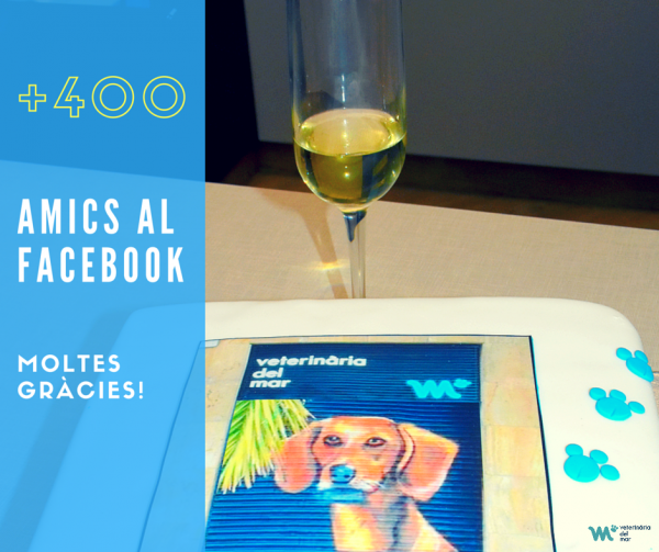 400-seguidors-facebook-veterinaris