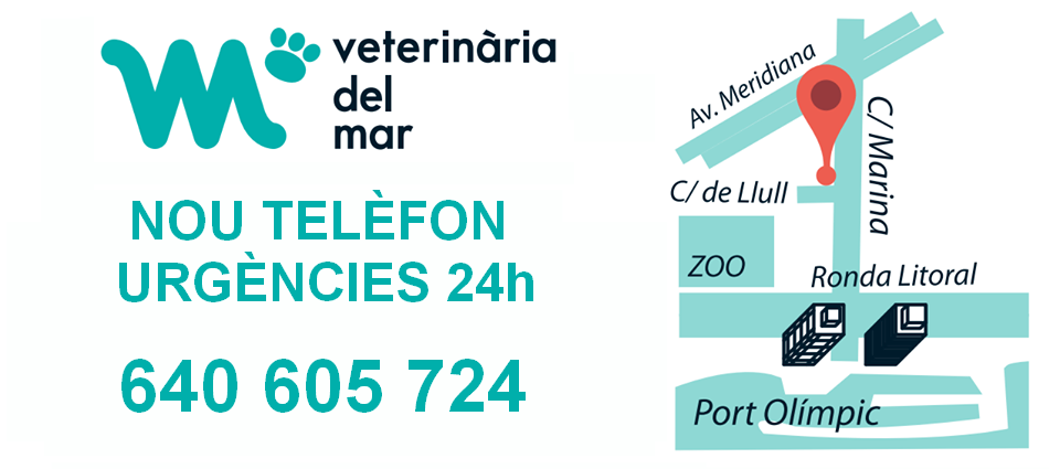 telefon-urgencies-veterinaries-barcelona