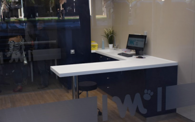 Disposem d’un servei especialitzat per gats