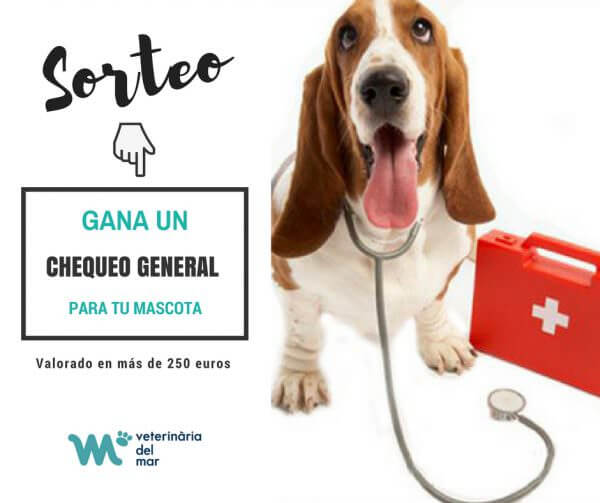 sorteig-clinica-veterinaria-del-mar-Barcelona