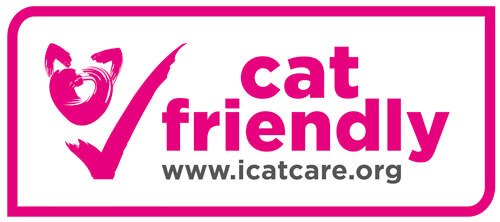 veterinario-cat-friendly-barcelona-veterinario-gatos