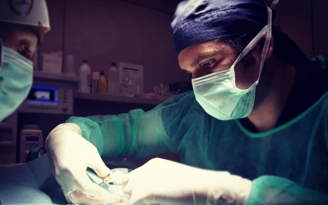 Nefroblastoma en conejos