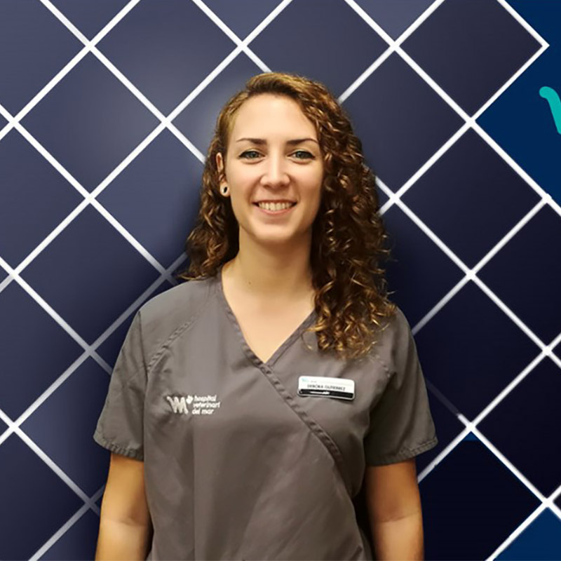 Hospitalización y UCI | Debora Gutiérrez | HV del MAr
