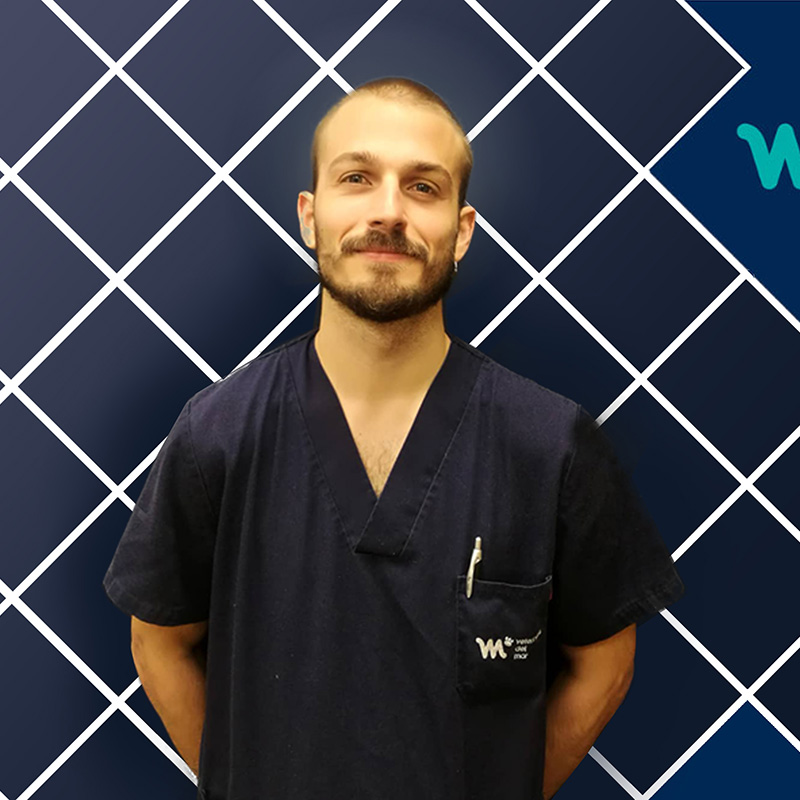 Veterinario Diagnóstico por la imagen | Gonzalo Sanz | Hospital Veterinario del Mar