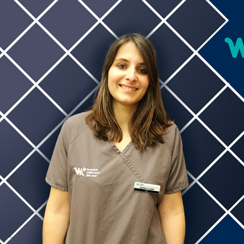 Recepción Veterinaria | Queralt Llobet | Hospital Veterinario del Mar
