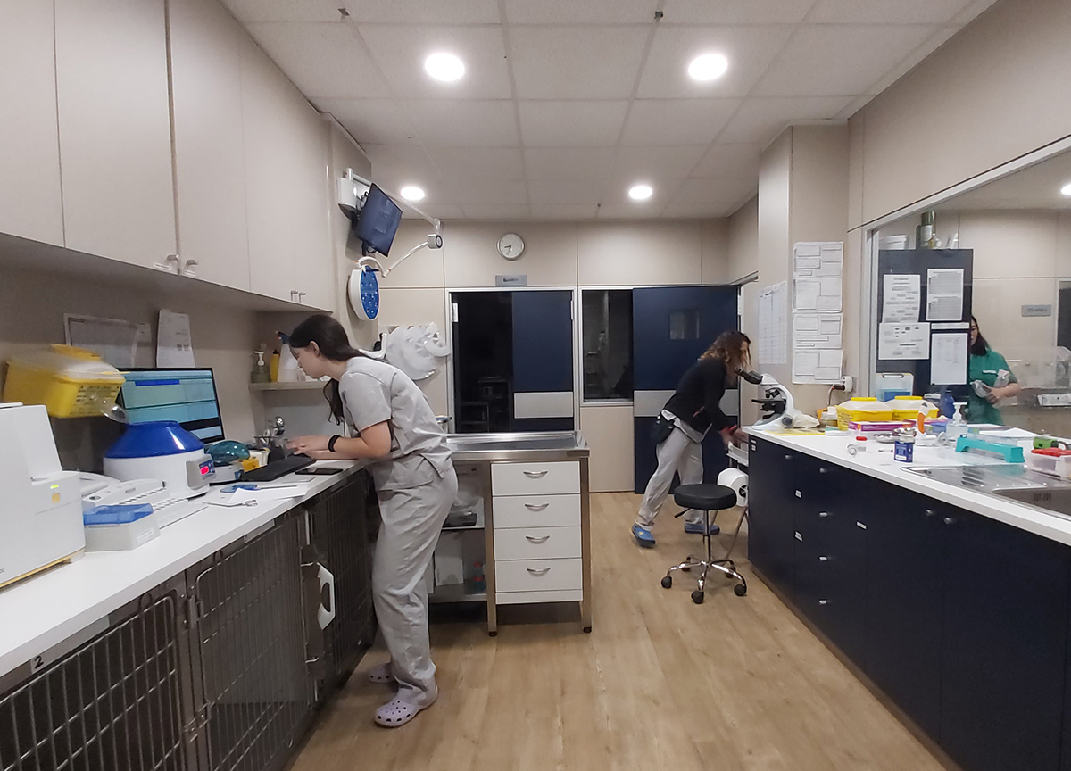 Laboratorio Analíticas Veterinaria | Hospital Veterinario del Mar