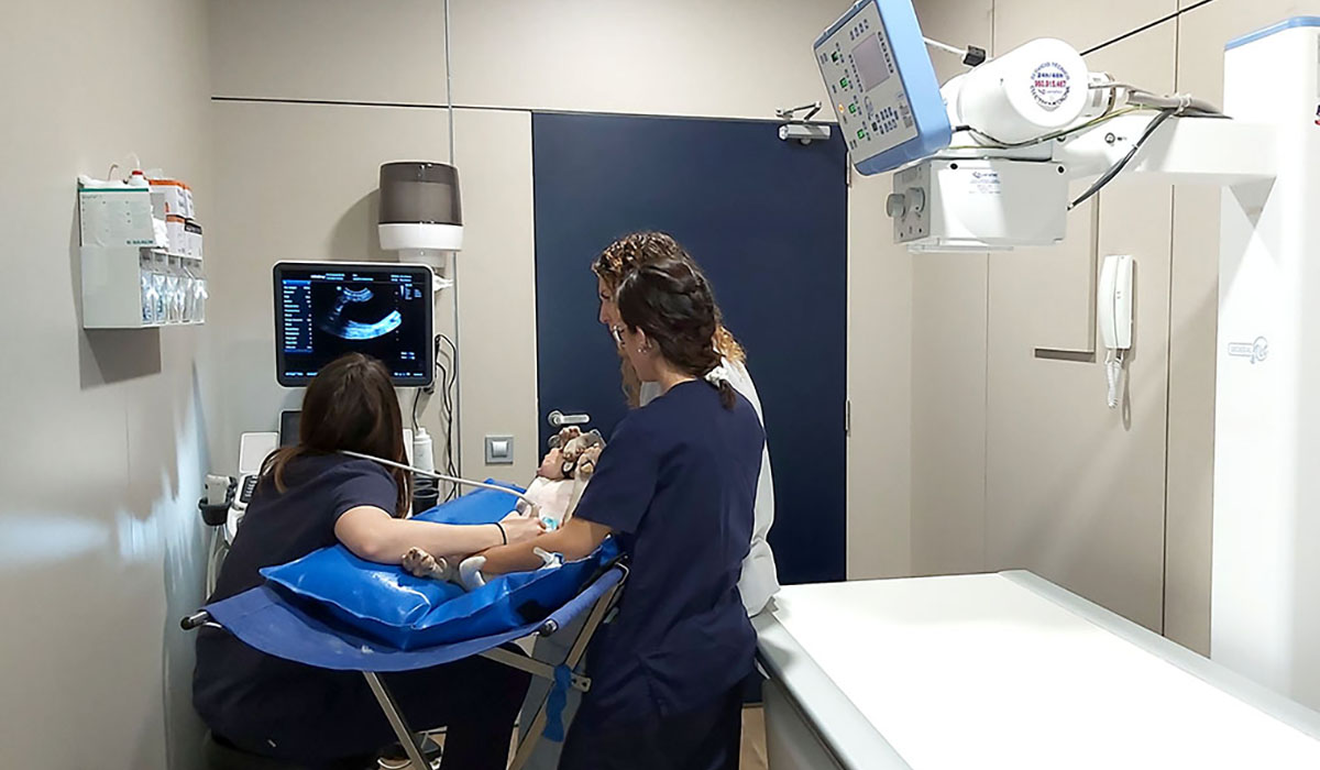 Hospital Veterinario del Mar | Diagnostic Imaging Room