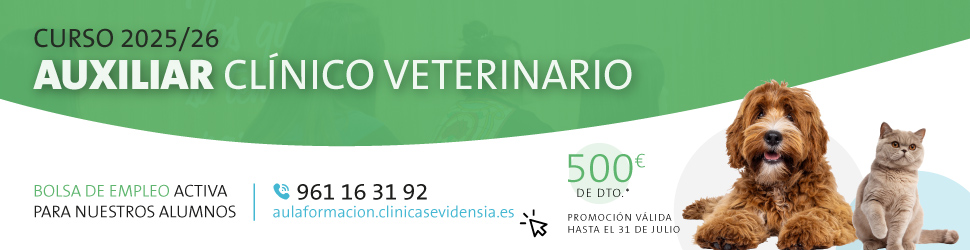 BANNER_WEB_ACV_2025-26-SINLOGO_v3